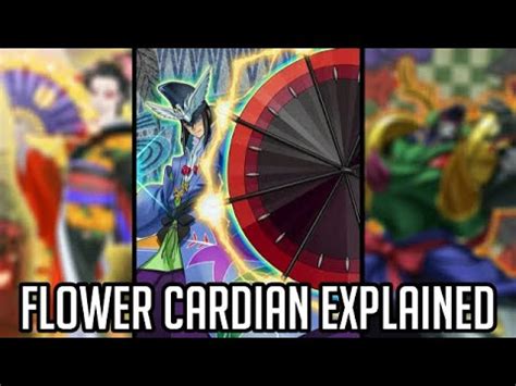Flower Cardians Explained in 42 Minutes [Yu.